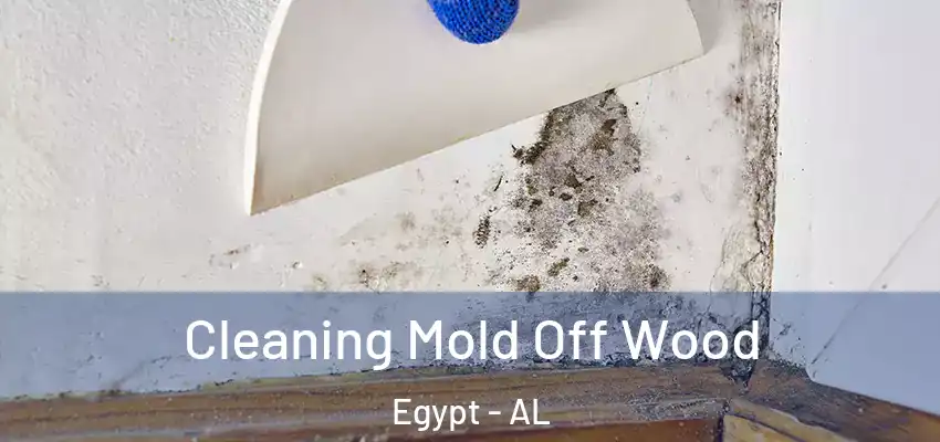 Cleaning Mold Off Wood Egypt - AL