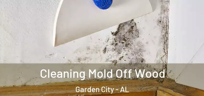 Cleaning Mold Off Wood Garden City - AL
