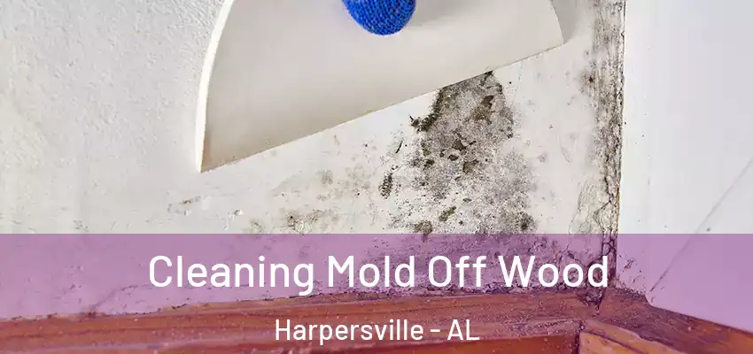  Cleaning Mold Off Wood Harpersville - AL