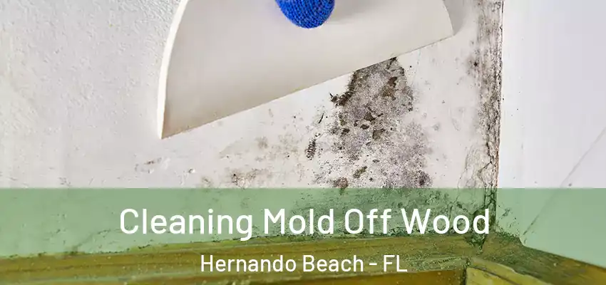 Cleaning Mold Off Wood Hernando Beach - FL