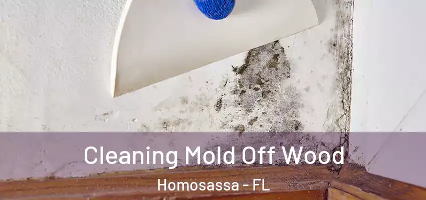Cleaning Mold Off Wood Homosassa - FL