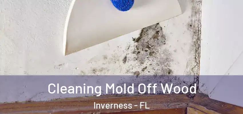 Cleaning Mold Off Wood Inverness - FL
