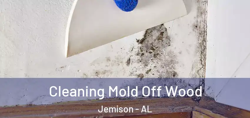 Cleaning Mold Off Wood Jemison - AL