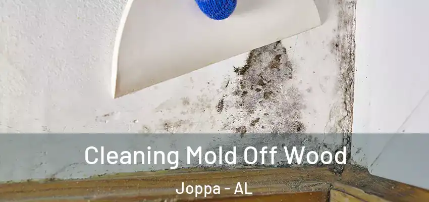 Cleaning Mold Off Wood Joppa - AL