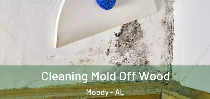  Cleaning Mold Off Wood Moody - AL