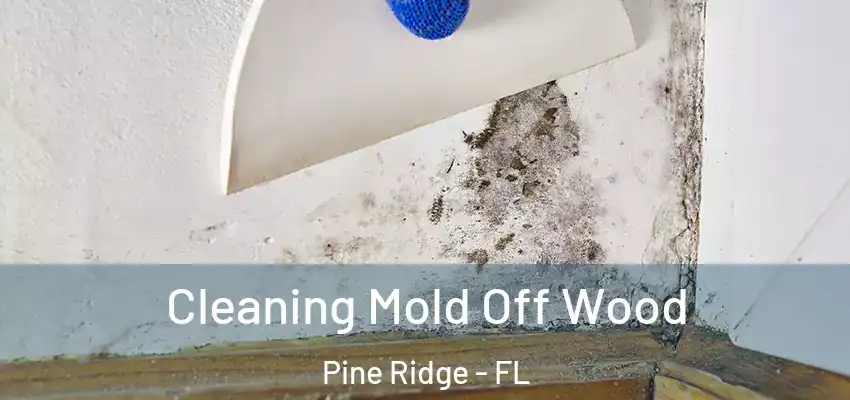 Cleaning Mold Off Wood Pine Ridge - FL