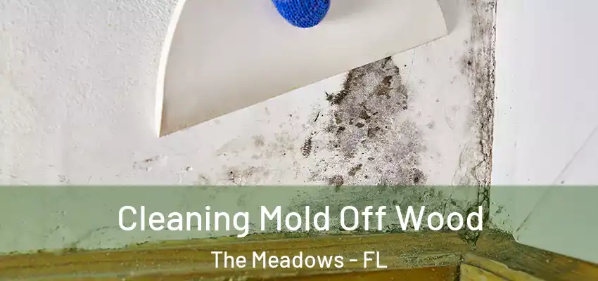  Cleaning Mold Off Wood The Meadows - FL