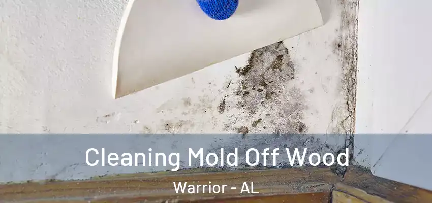 Cleaning Mold Off Wood Warrior - AL
