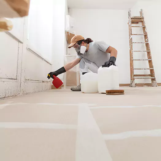 Reliable Mold Stain Remover Specialists in Joppa, AL