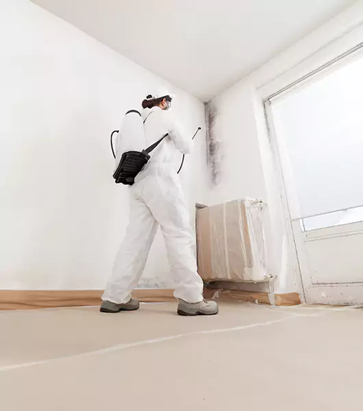 Specialists in All Areas of Mold Remediation and Water Damage Restoration in Joppa, AL