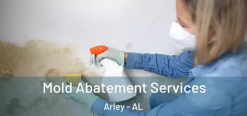  Mold Abatement Services Arley - AL