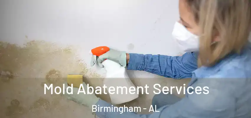  Mold Abatement Services Birmingham - AL