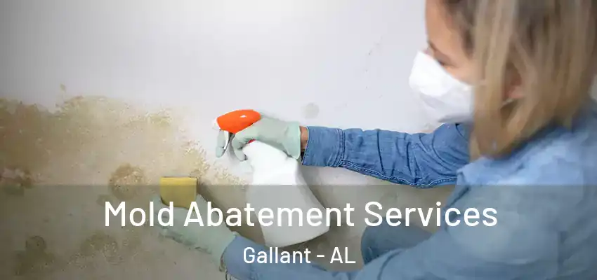  Mold Abatement Services Gallant - AL