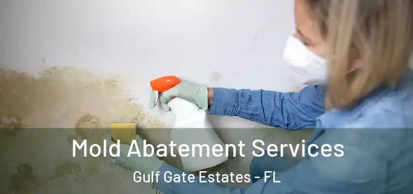  Mold Abatement Services Gulf Gate Estates - FL