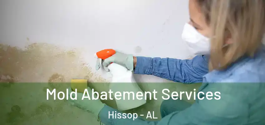  Mold Abatement Services Hissop - AL