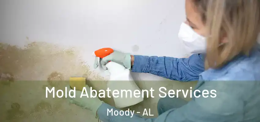  Mold Abatement Services Moody - AL