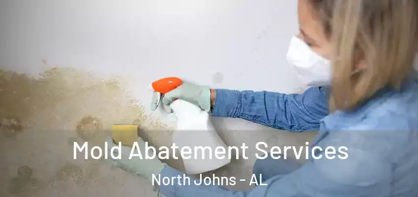  Mold Abatement Services North Johns - AL