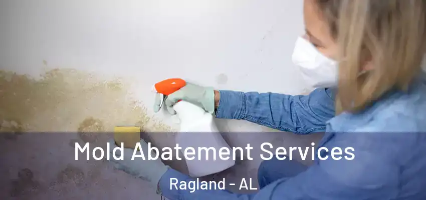 Mold Abatement Services Ragland - AL