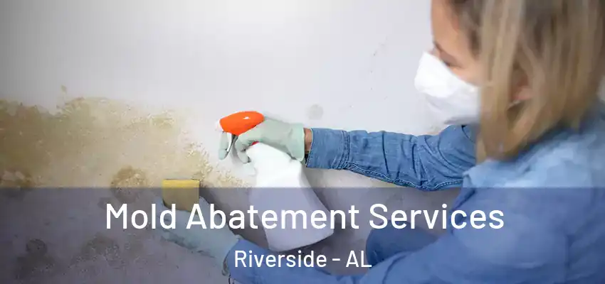  Mold Abatement Services Riverside - AL