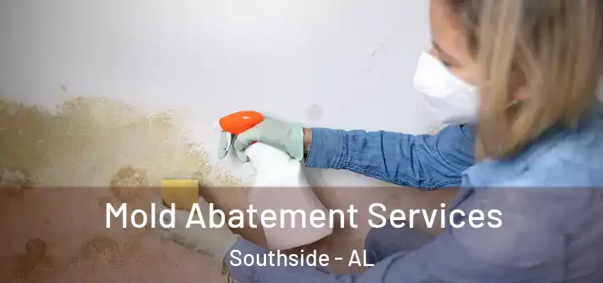 Mold Abatement Services Southside - AL