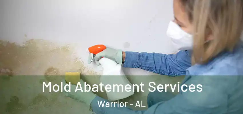  Mold Abatement Services Warrior - AL