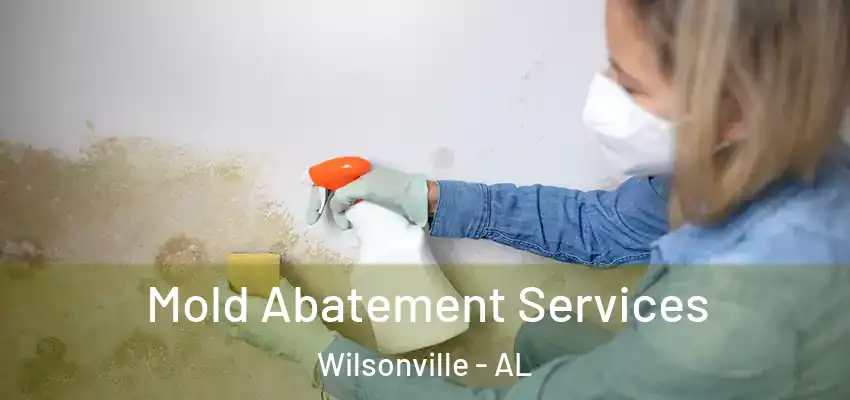 Mold Abatement Services Wilsonville - AL