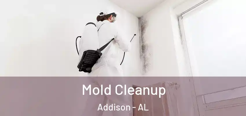 Mold Cleanup Addison - AL