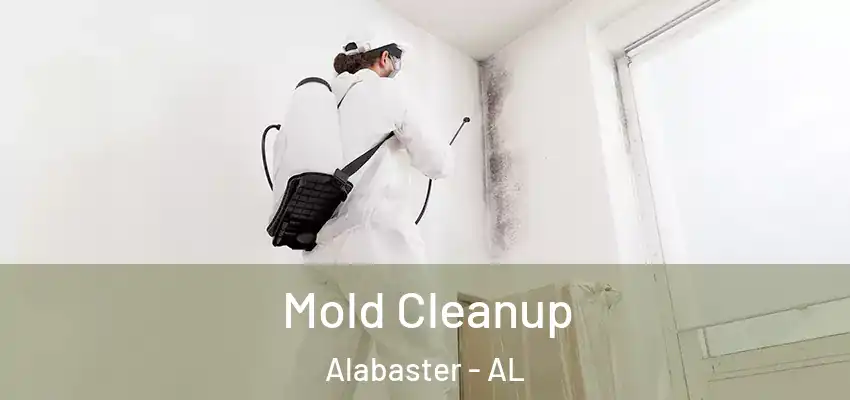 Mold Cleanup Alabaster - AL