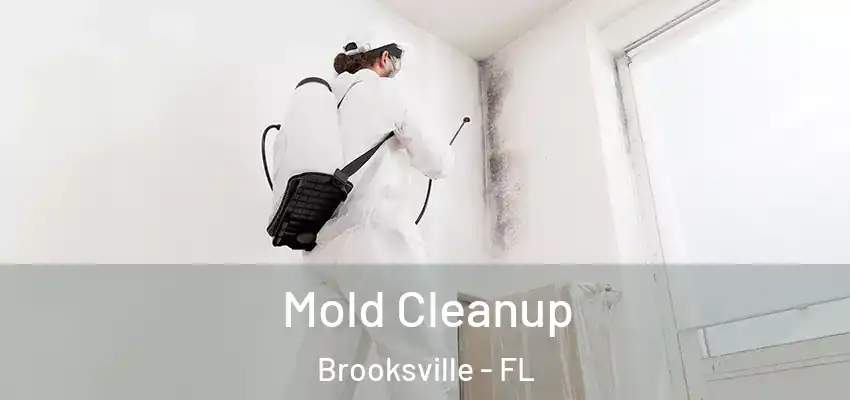  Mold Cleanup Brooksville - FL