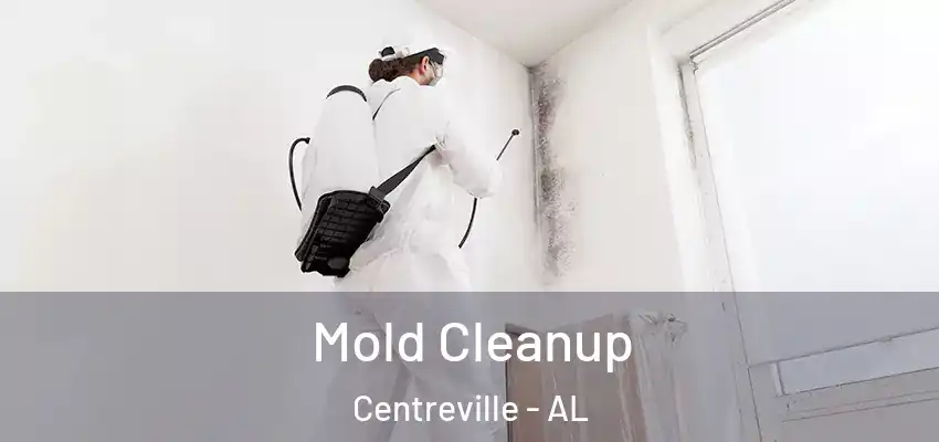  Mold Cleanup Centreville - AL