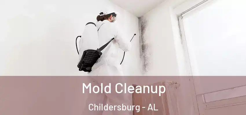  Mold Cleanup Childersburg - AL