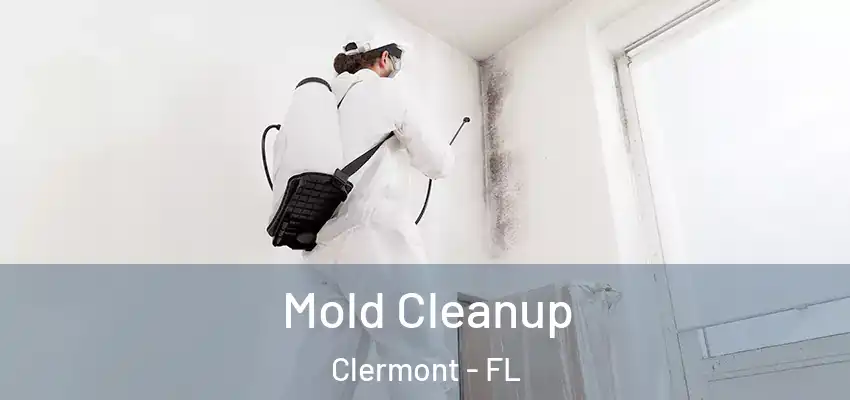  Mold Cleanup Clermont - FL