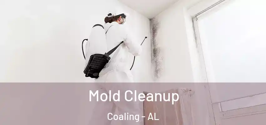  Mold Cleanup Coaling - AL