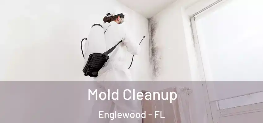  Mold Cleanup Englewood - FL