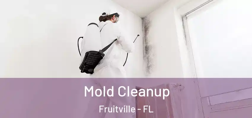  Mold Cleanup Fruitville - FL