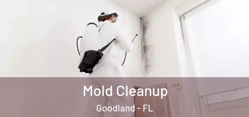  Mold Cleanup Goodland - FL