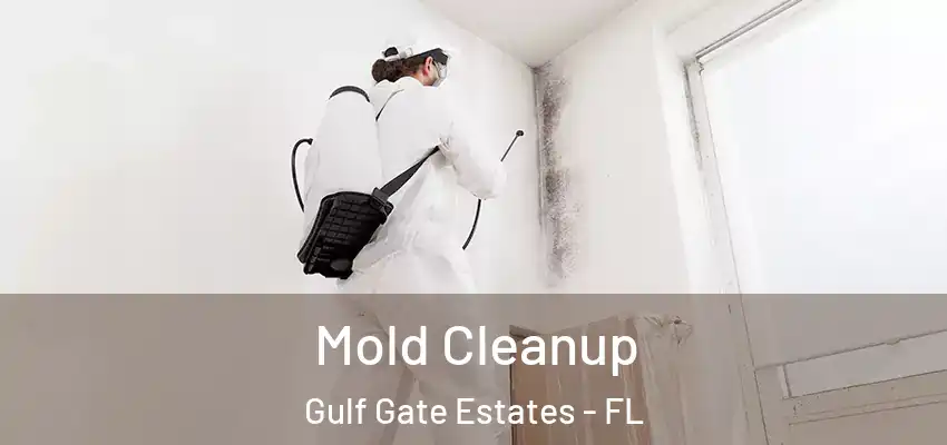  Mold Cleanup Gulf Gate Estates - FL