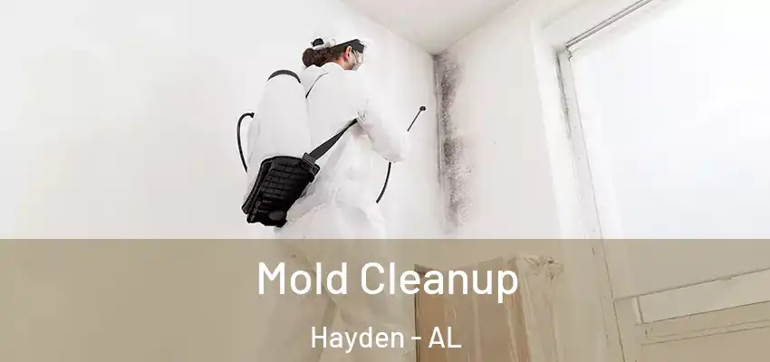  Mold Cleanup Hayden - AL