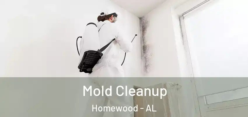  Mold Cleanup Homewood - AL