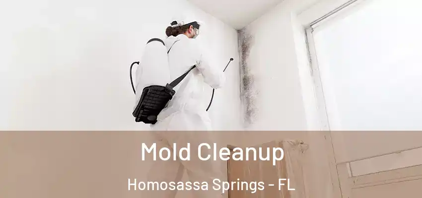  Mold Cleanup Homosassa Springs - FL