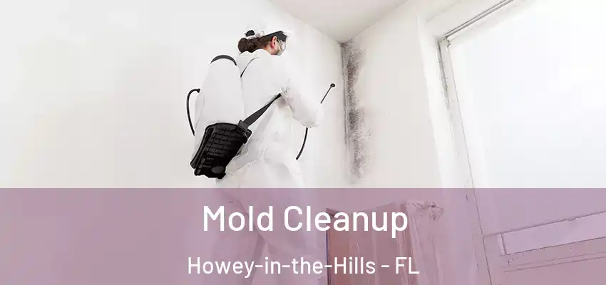 Mold Cleanup Howey-in-the-Hills - FL