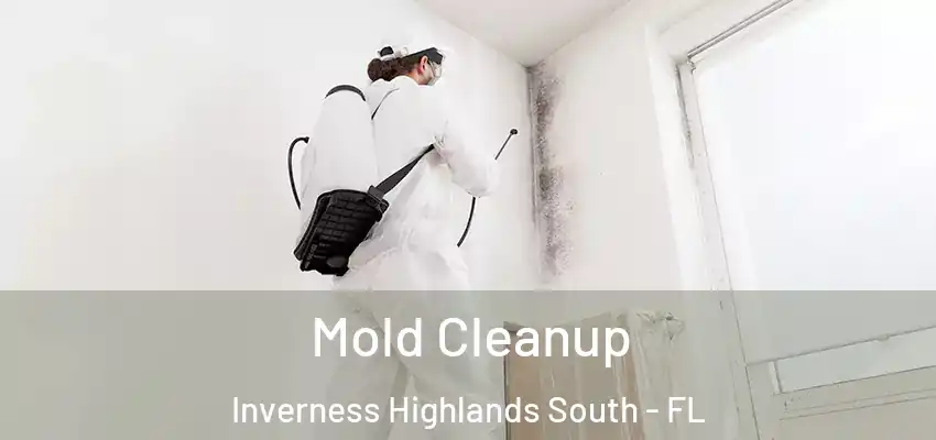 Mold Cleanup Inverness Highlands South - FL