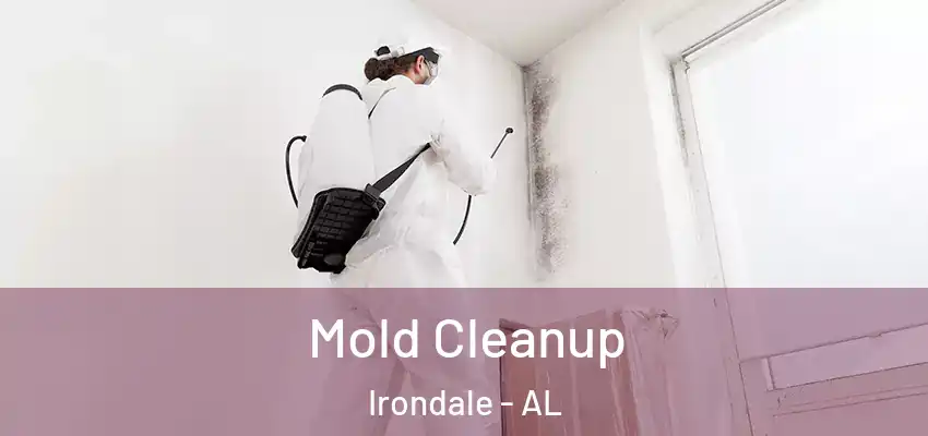  Mold Cleanup Irondale - AL