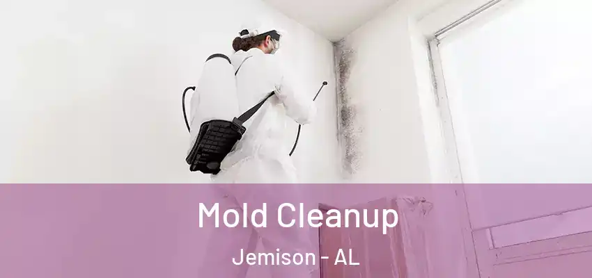  Mold Cleanup Jemison - AL