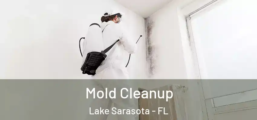  Mold Cleanup Lake Sarasota - FL