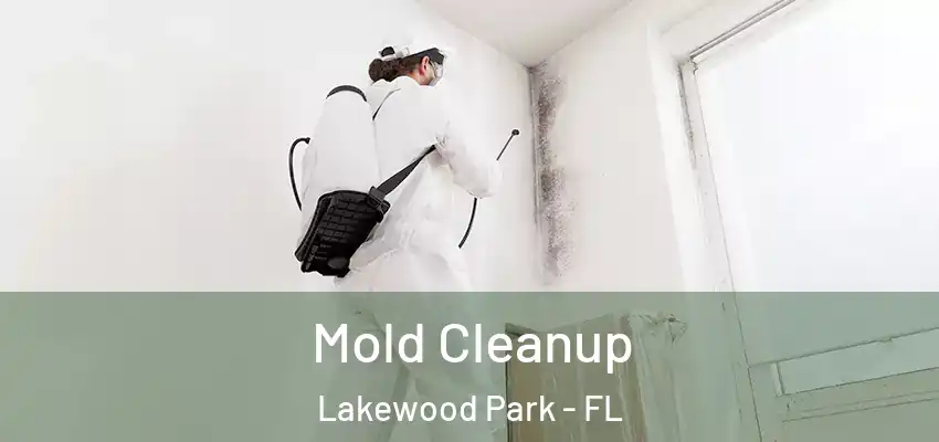  Mold Cleanup Lakewood Park - FL