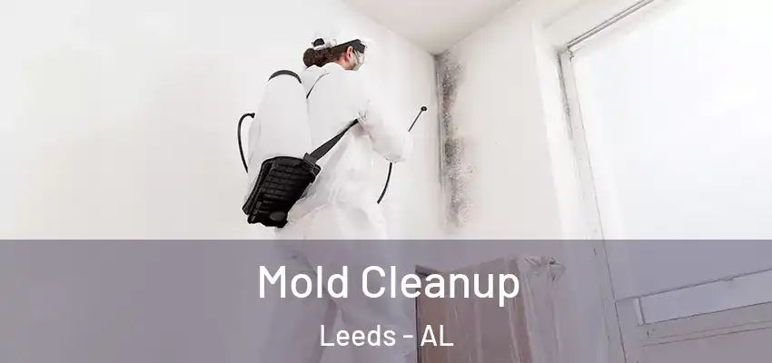  Mold Cleanup Leeds - AL