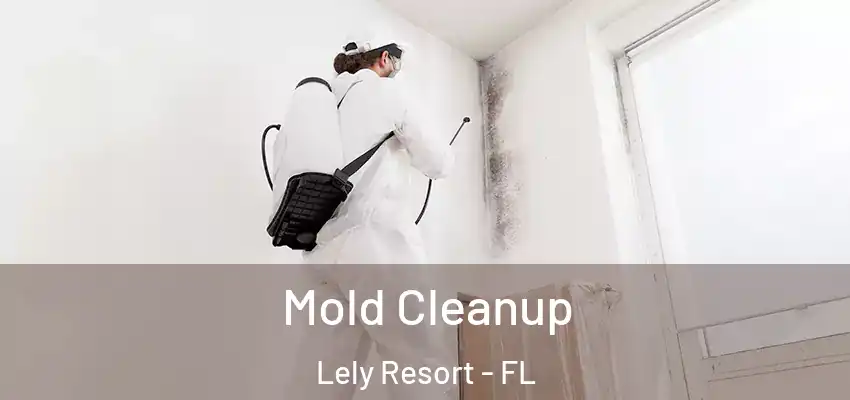  Mold Cleanup Lely Resort - FL