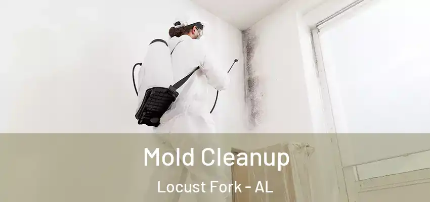 Mold Cleanup Locust Fork - AL