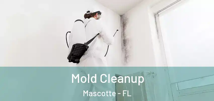 Mold Cleanup Mascotte - FL